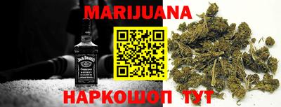 дмт Кингисепп