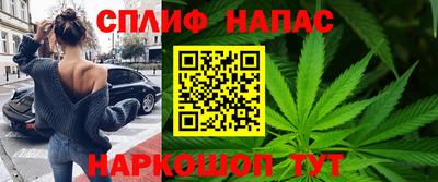 дмт Кингисепп