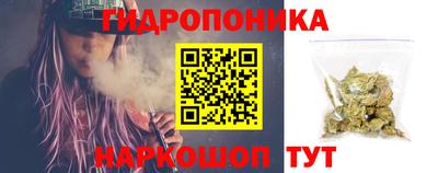 дмт Кингисепп