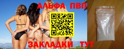 дмт Кингисепп