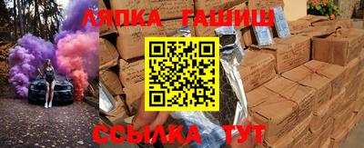 дмт Кингисепп