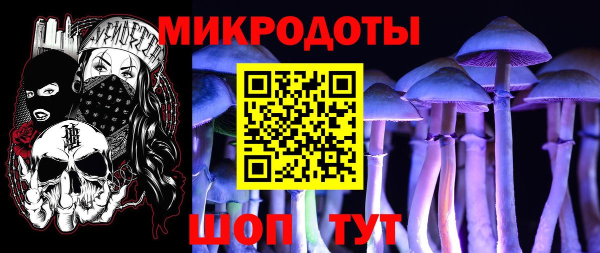 Псилоцибиновые грибы мухоморы Евпатория