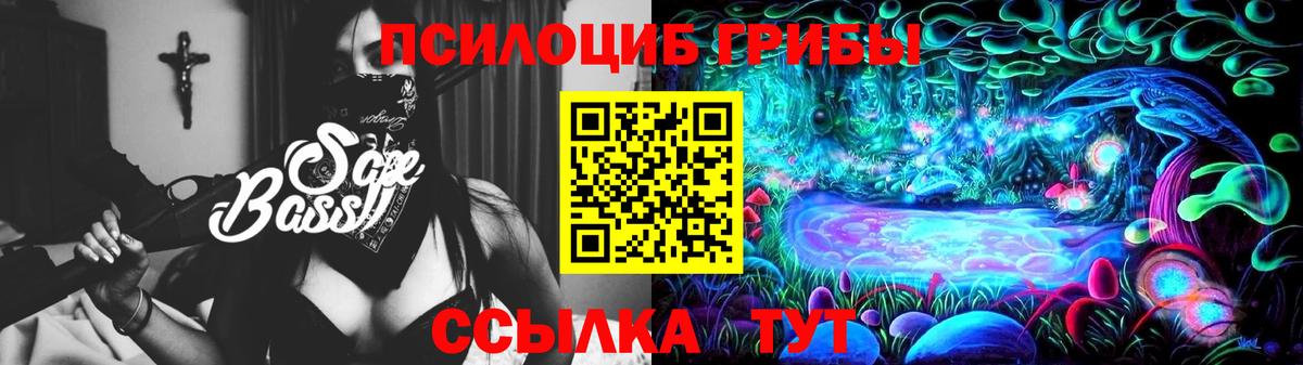 Галлюциногенные грибы прущие грибы  Вход с VPN  как найти наркотики  Евпатория 